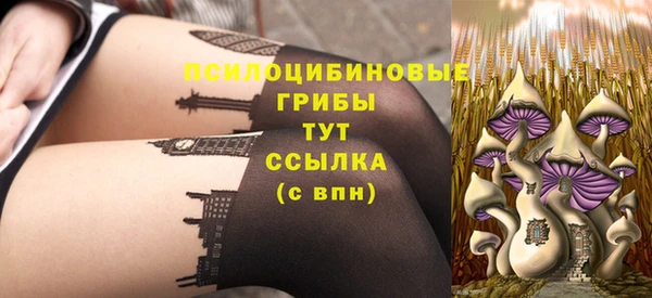 эйфоретик Баксан